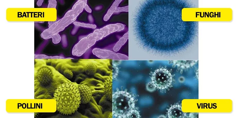 EN14683 BFE Test per Mascherine Medicali 3 Bioaerosol: Batteri, Funghi, Pollini, Virus