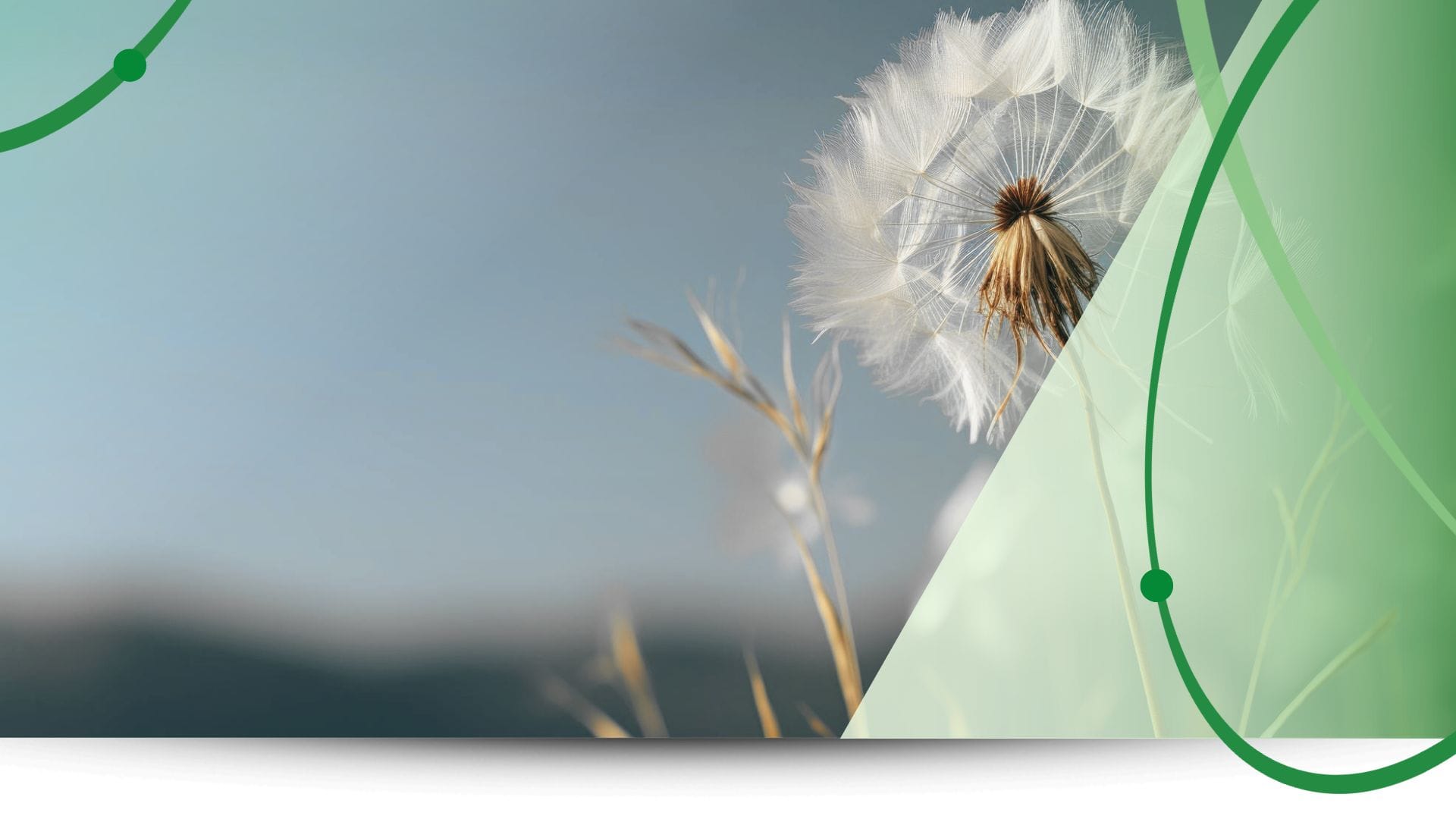 XEarPro_Header