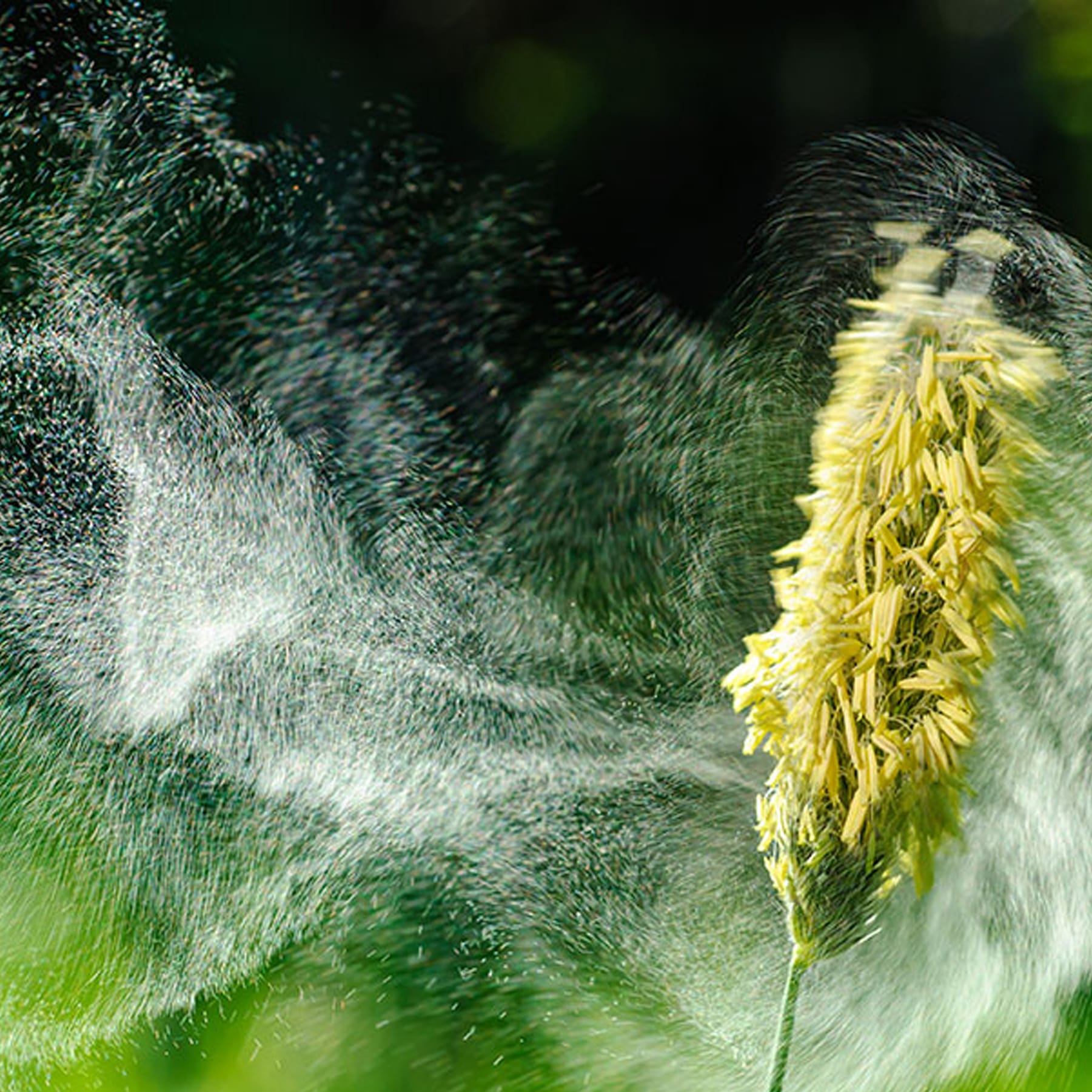 Swisens_Aerosol Monitoring Solutions